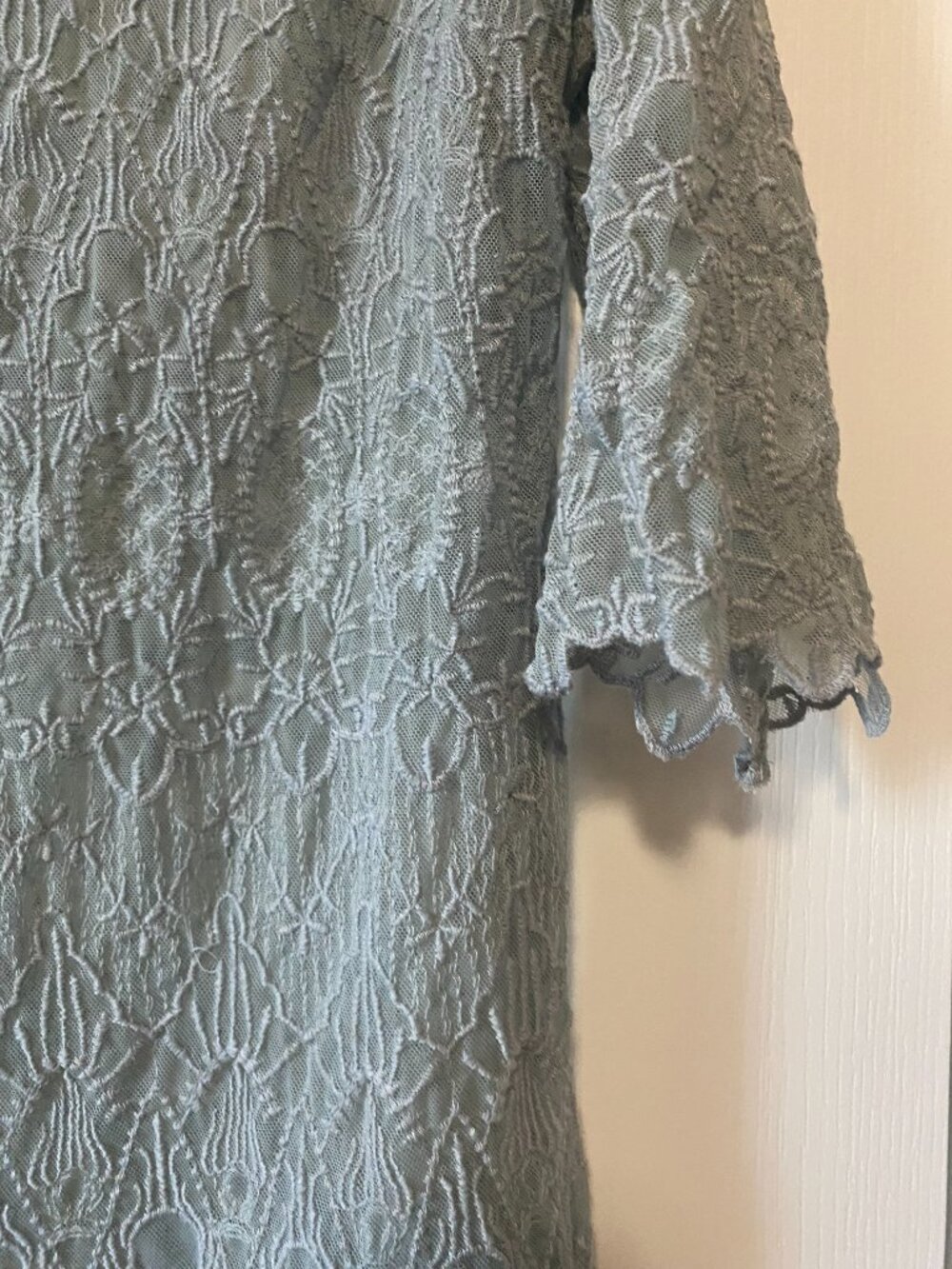 Sundance Catalog "Windflower Whisper" Lace Dress Cottagecore Whimsigoth - Picture 6 of 12